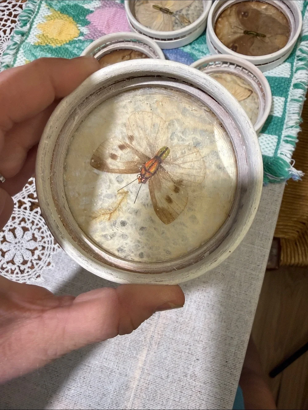 Vintage Pressed Butterfly Coaster Set painted